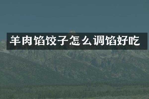 羊肉馅饺子怎么调馅好吃