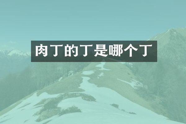 肉丁的丁是哪个丁