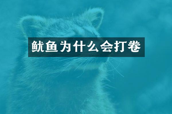 鱿鱼为什么会打卷