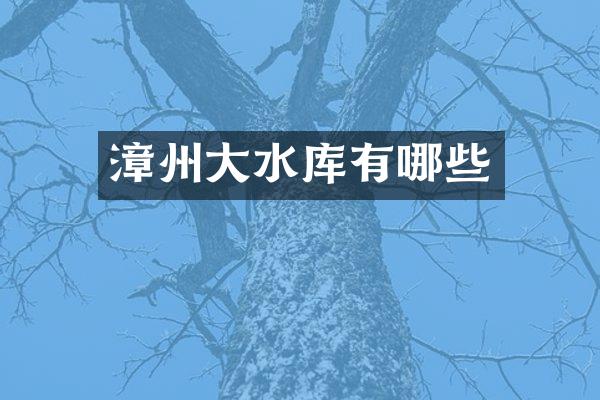 漳州大水库有哪些