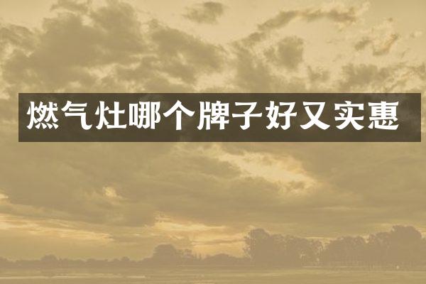 燃气灶哪个牌子好又实惠