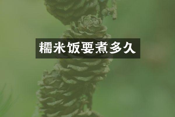 糯米饭要煮多久