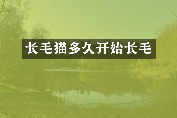 长毛猫多久开始长毛