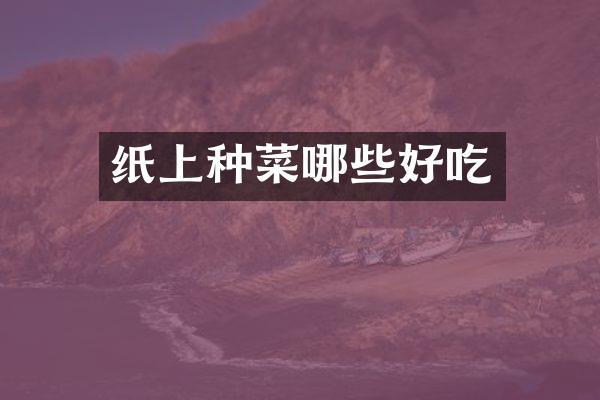 纸上种菜哪些好吃