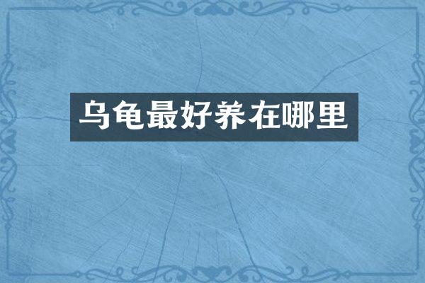 乌龟最好养在哪里