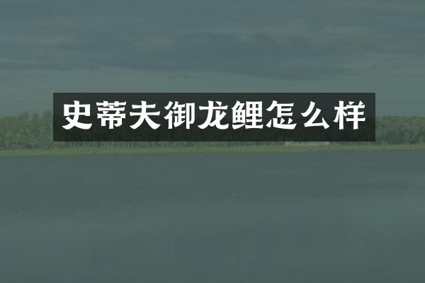 史蒂夫御龙鲤怎么样