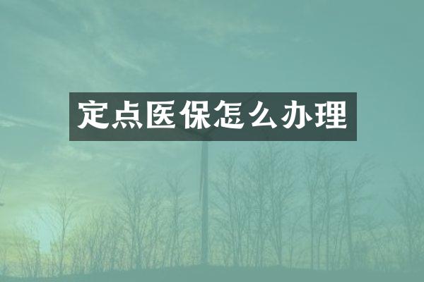 定点医保怎么办理