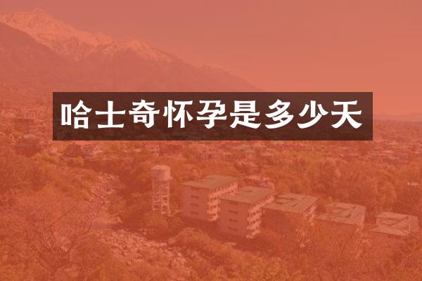 哈士奇怀孕是多少天