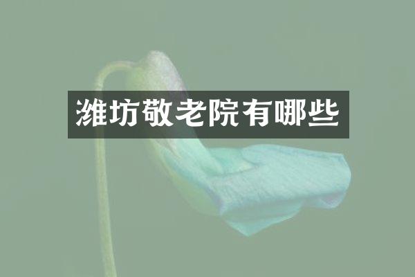 潍坊敬老院有哪些