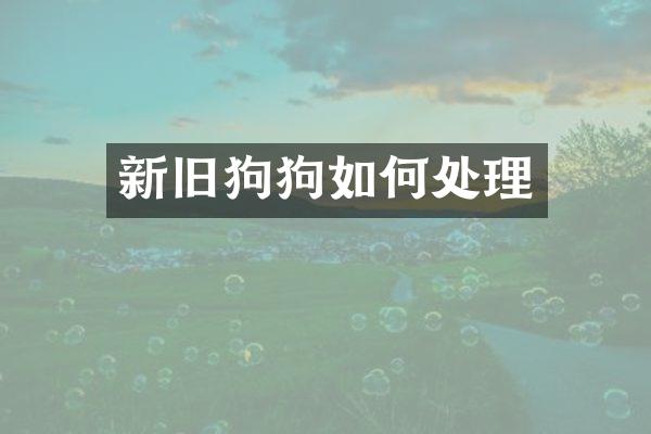 新旧狗狗如何处理