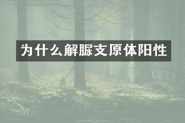 为什么解脲支原体阳性