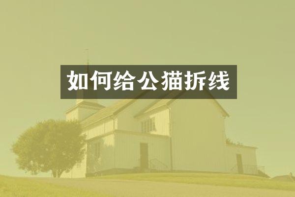 如何给公猫拆线