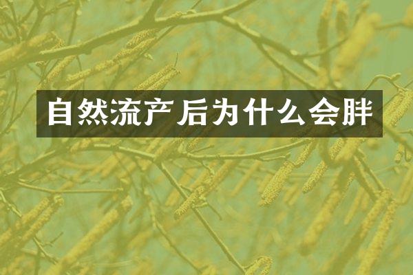 自然流产后为什么会胖