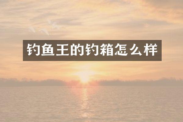 钓鱼王的钓箱怎么样