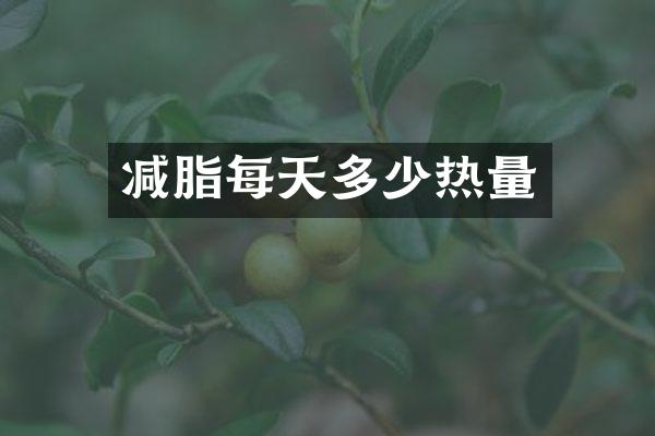 减脂每天多少热量