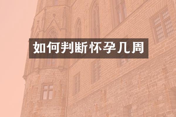 如何判断怀孕几周