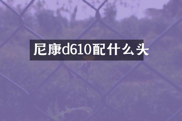 尼康d610配什么头