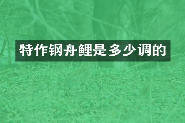 特作钢舟鲤是多少调的