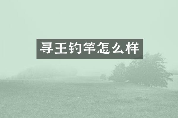 寻王钓竿怎么样