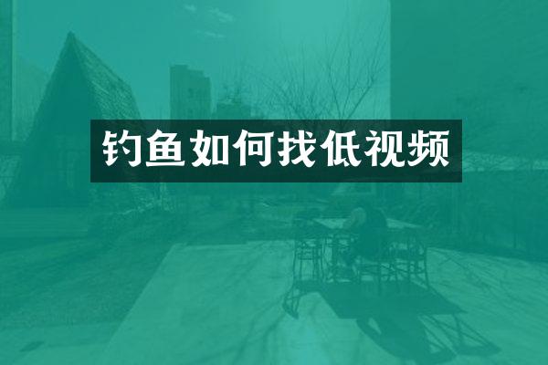 钓鱼如何找低视频