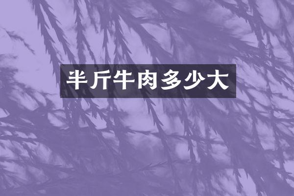 半斤牛肉多少大
