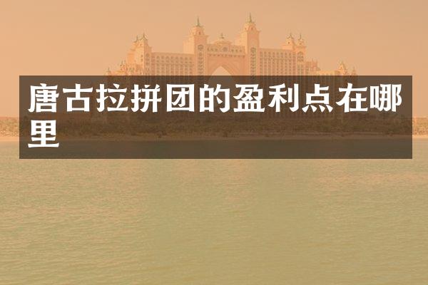唐古拉拼团的盈利点在哪里