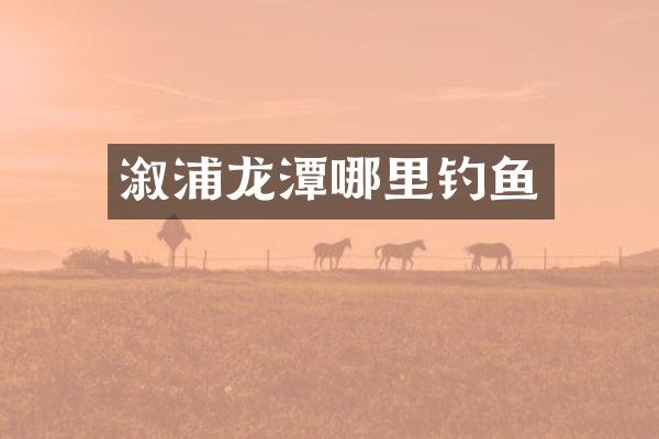 溆浦龙潭哪里钓鱼