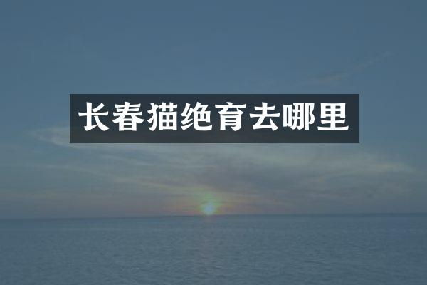 长春猫绝育去哪里