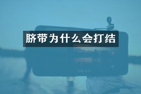脐带为什么会打结