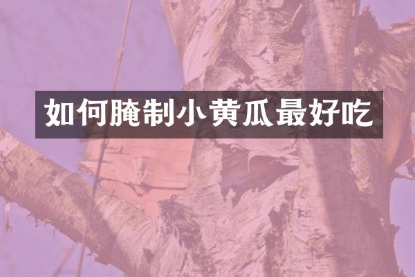 如何腌制小黄瓜最好吃