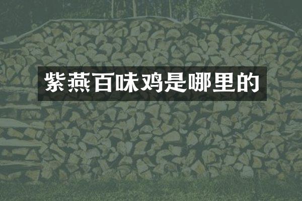 紫燕百味鸡是哪里的