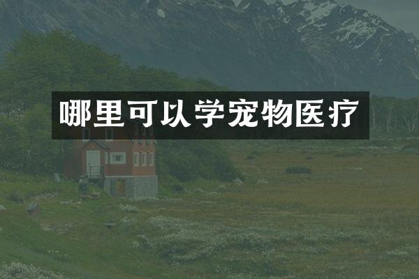 哪里可以学宠物医疗