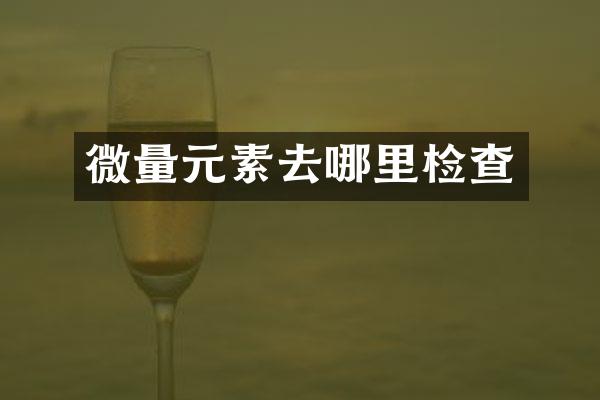 微量元素去哪里检查