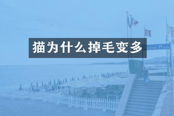 猫为什么掉毛变多
