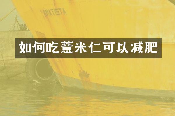 如何吃薏米仁可以减肥