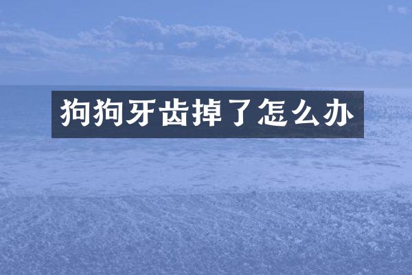 狗狗牙齿掉了怎么办