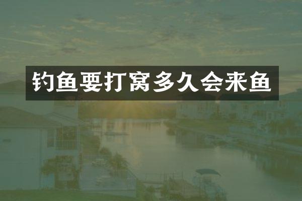 钓鱼要打窝多久会来鱼