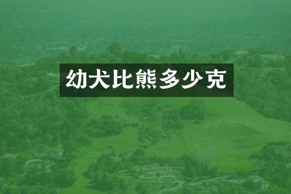 幼犬比熊多少克
