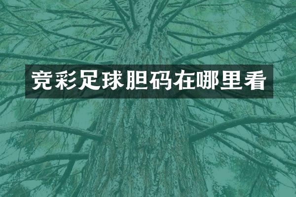 竞彩足球胆码在哪里看