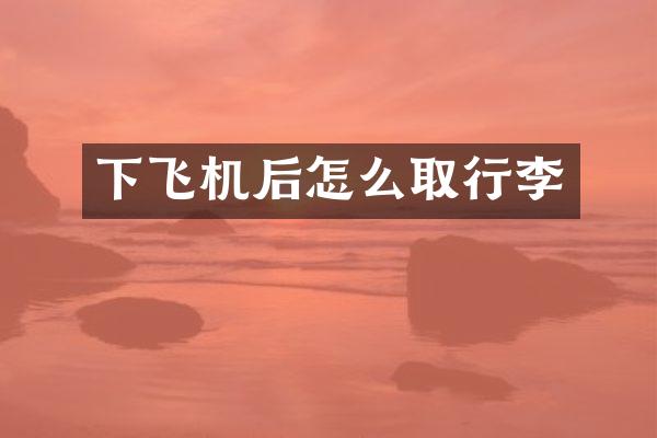 下飞机后怎么取行李