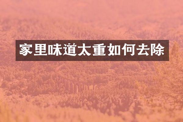 家里味道太重如何去除