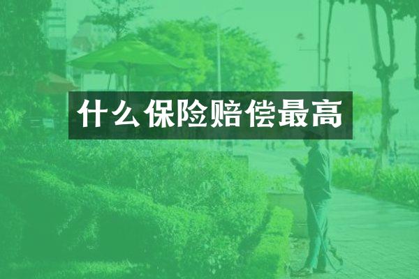 什么保险赔偿最高