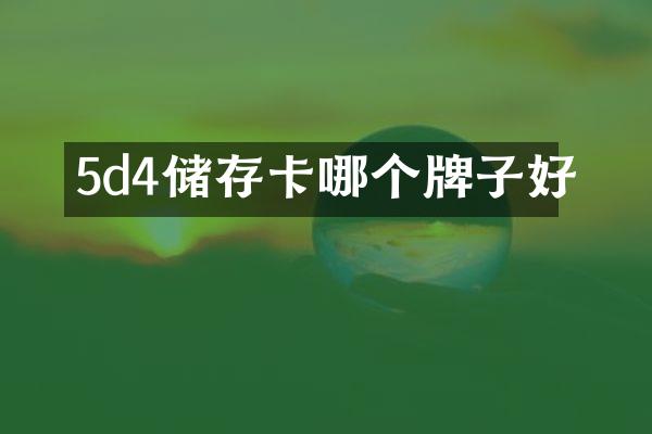 5d4储存卡哪个牌子好
