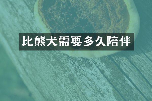 比熊犬需要多久陪伴