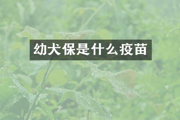 幼犬保是什么疫苗