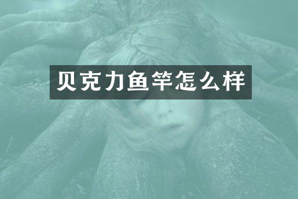 贝克力鱼竿怎么样
