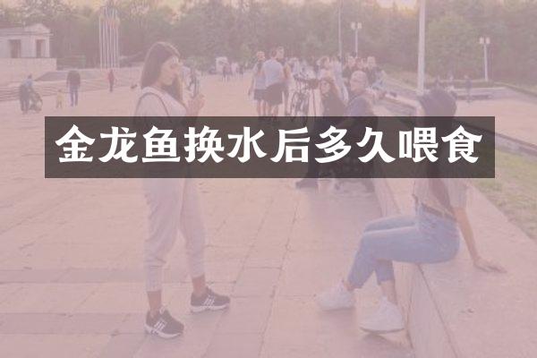 金龙鱼换水后多久喂食