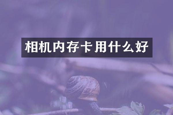 相机内存卡用什么好
