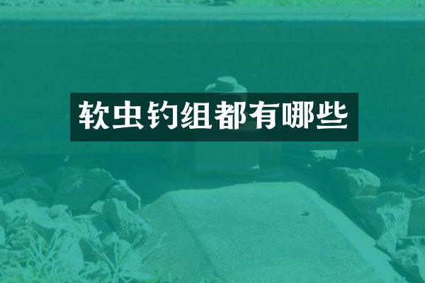 软虫钓组都有哪些