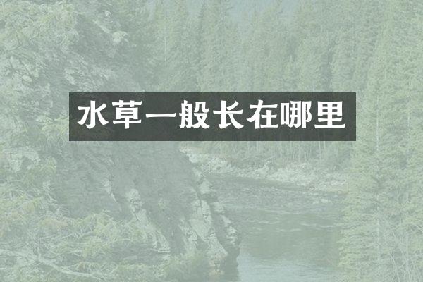 水草一般长在哪里